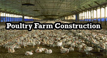 Poultry Farm Construction